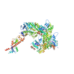 BU of 7udt by Molmil