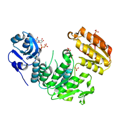 BU of 7ufp by Molmil