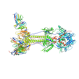 BU of 7ui0 by Molmil