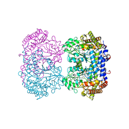 BU of 7uji by Molmil