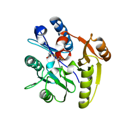 BU of 7ulv by Molmil