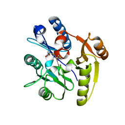 BU of 7ulv by Molmil