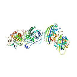 BU of 7uml by Molmil