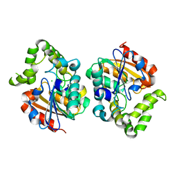 BU of 7uoc by Molmil