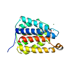 BU of 7uq1 by Molmil