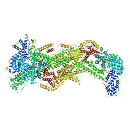 BU of 7usc by Molmil