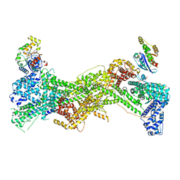 BU of 7use by Molmil