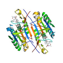 BU of 7usq by Molmil