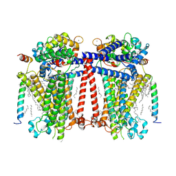 BU of 7usx by Molmil