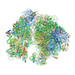 BU of 7uw1 by Molmil