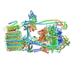 BU of 7uw9 by Molmil