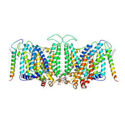 BU of 7v19 by Molmil