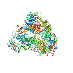 BU of 7vba by Molmil