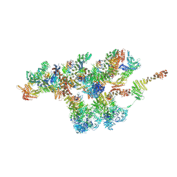 BU of 7vci by Molmil