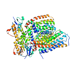 BU of 7vfp by Molmil