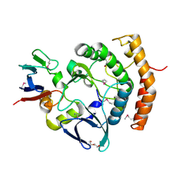 BU of 7vkb by Molmil