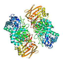 BU of 7vl2 by Molmil