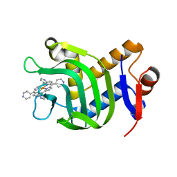 BU of 7vm1 by Molmil