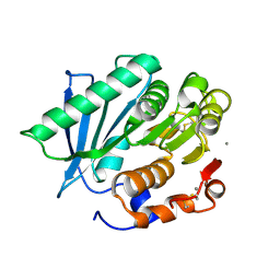 BU of 7vmd by Molmil