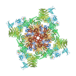 BU of 7vmq by Molmil