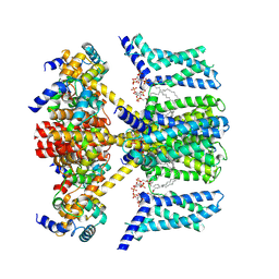 BU of 7vnp by Molmil