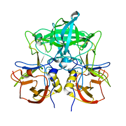 BU of 7vp0 by Molmil