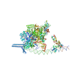 BU of 7vpd by Molmil