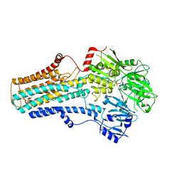 BU of 7vpi by Molmil