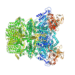 BU of 7vq1 by Molmil