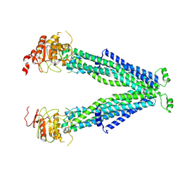 BU of 7vr1 by Molmil