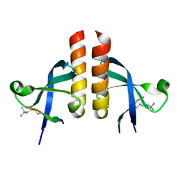 BU of 7vrf by Molmil