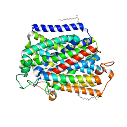 BU of 7vsi by Molmil