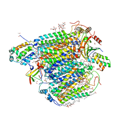 BU of 7vvr by Molmil