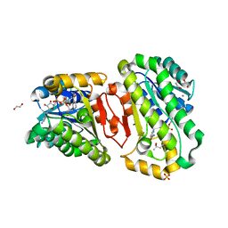 BU of 7wbc by Molmil