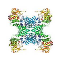 BU of 7wj4 by Molmil