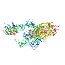 BU of 7wk5 by Molmil