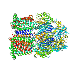 BU of 7wlv by Molmil