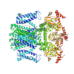 BU of 7wm2 by Molmil