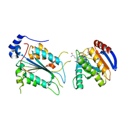 BU of 7wr6 by Molmil