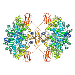 BU of 7wta by Molmil