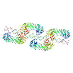 BU of 7wv3 by Molmil