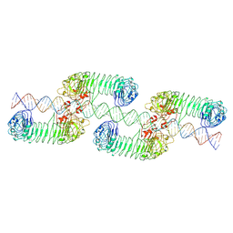 BU of 7wv4 by Molmil