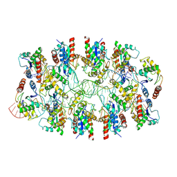 BU of 7x5k by Molmil