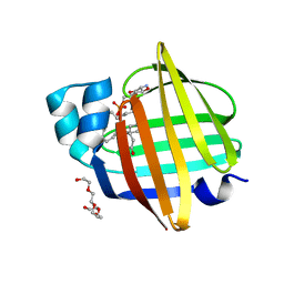 BU of 7xbc by Molmil