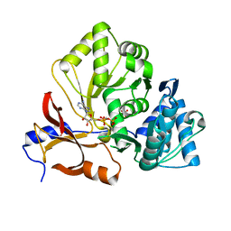 BU of 7xbv by Molmil