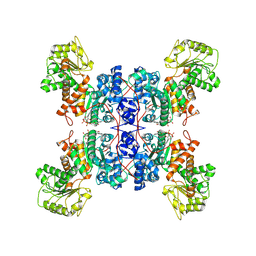 BU of 7xde by Molmil