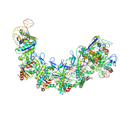 BU of 7xg2 by Molmil