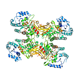 BU of 7xhl by Molmil