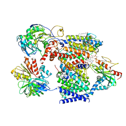 BU of 7xk4 by Molmil