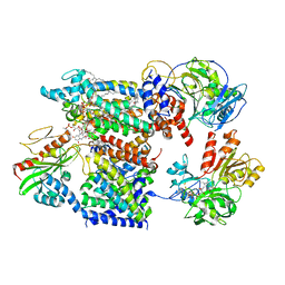 BU of 7xk6 by Molmil